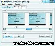 Окно редактирования. Здесь мы видим ролик, разбитый на кадры. (27kb)